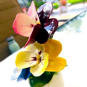 Vintage fine bone China Royal york peonies